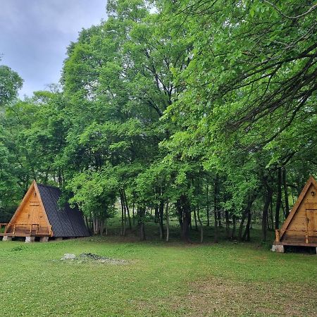 Wolf & Sheep Nature & Adventure Podgoriţa Exterior foto
