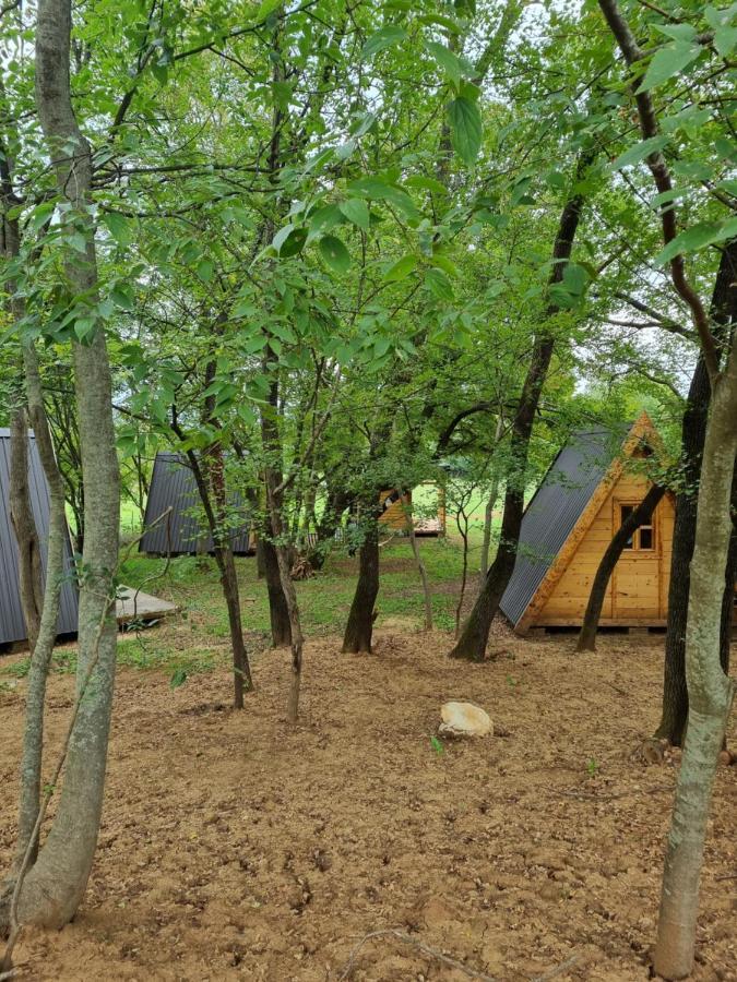 Wolf & Sheep Nature & Adventure Podgoriţa Exterior foto