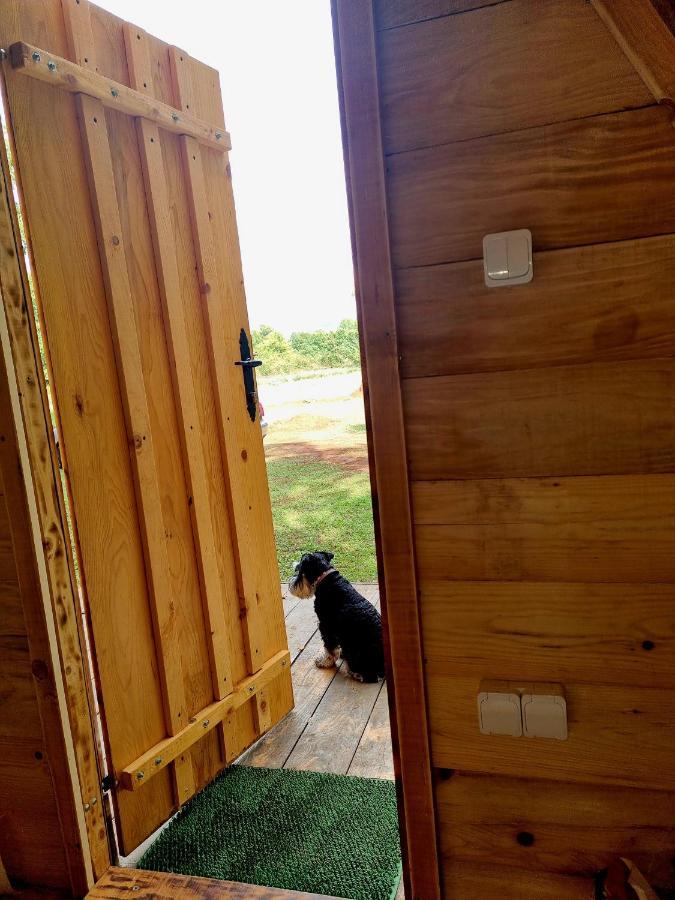 Wolf & Sheep Nature & Adventure Podgoriţa Exterior foto