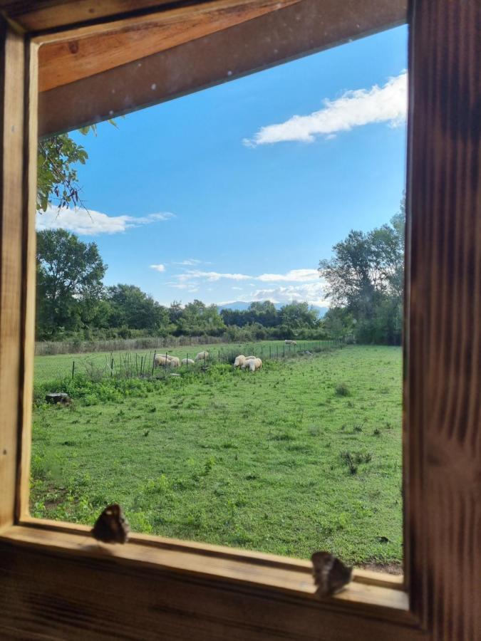 Wolf & Sheep Nature & Adventure Podgoriţa Exterior foto