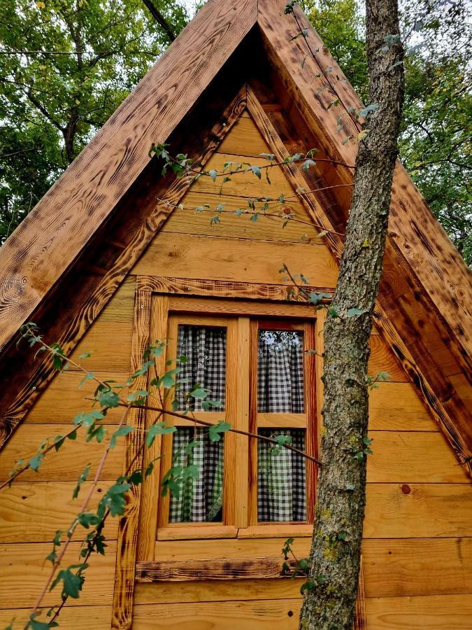 Wolf & Sheep Nature & Adventure Podgoriţa Exterior foto