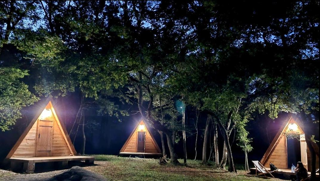Wolf & Sheep Nature & Adventure Podgoriţa Exterior foto