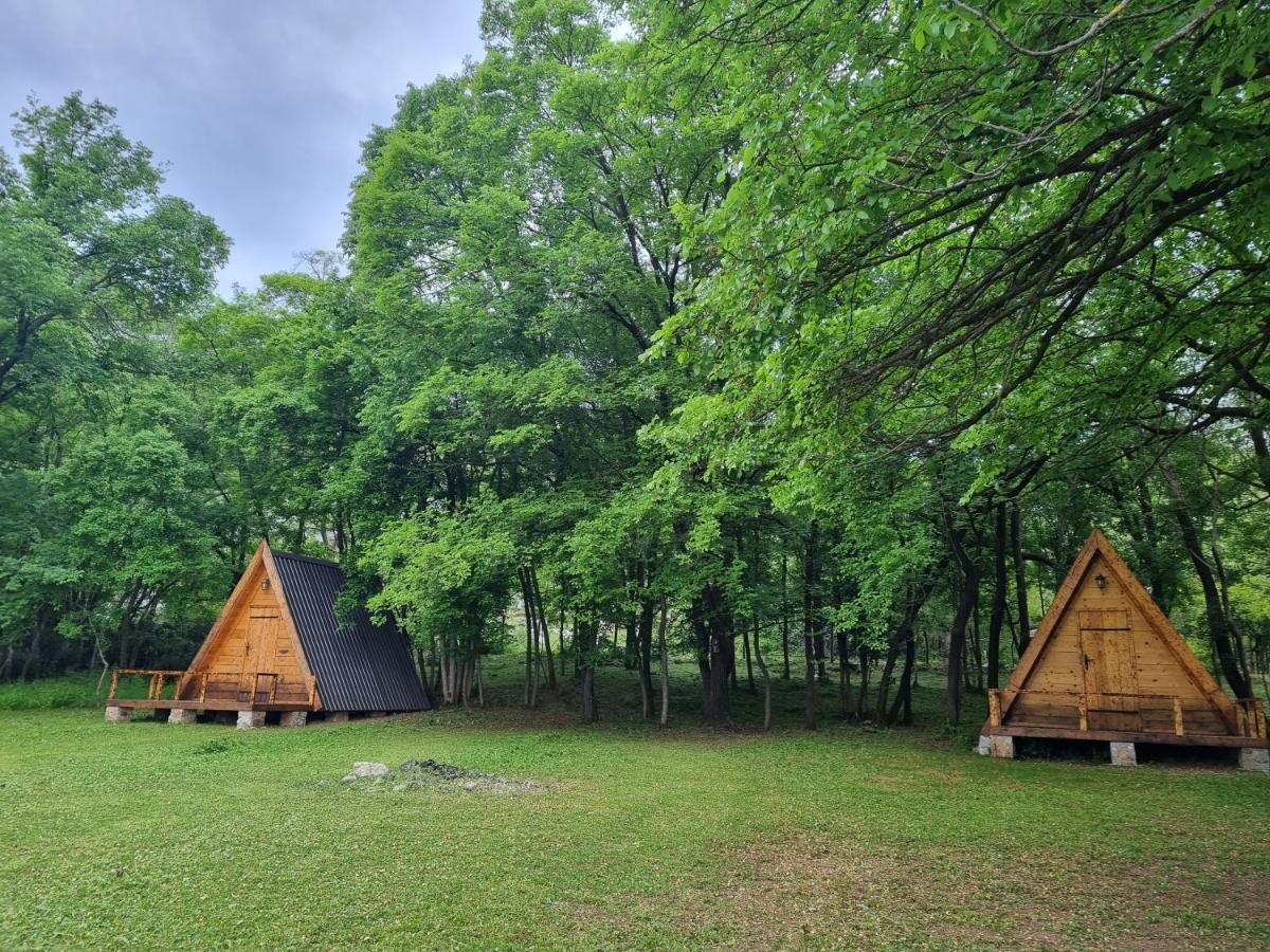 Wolf & Sheep Nature & Adventure Podgoriţa Exterior foto